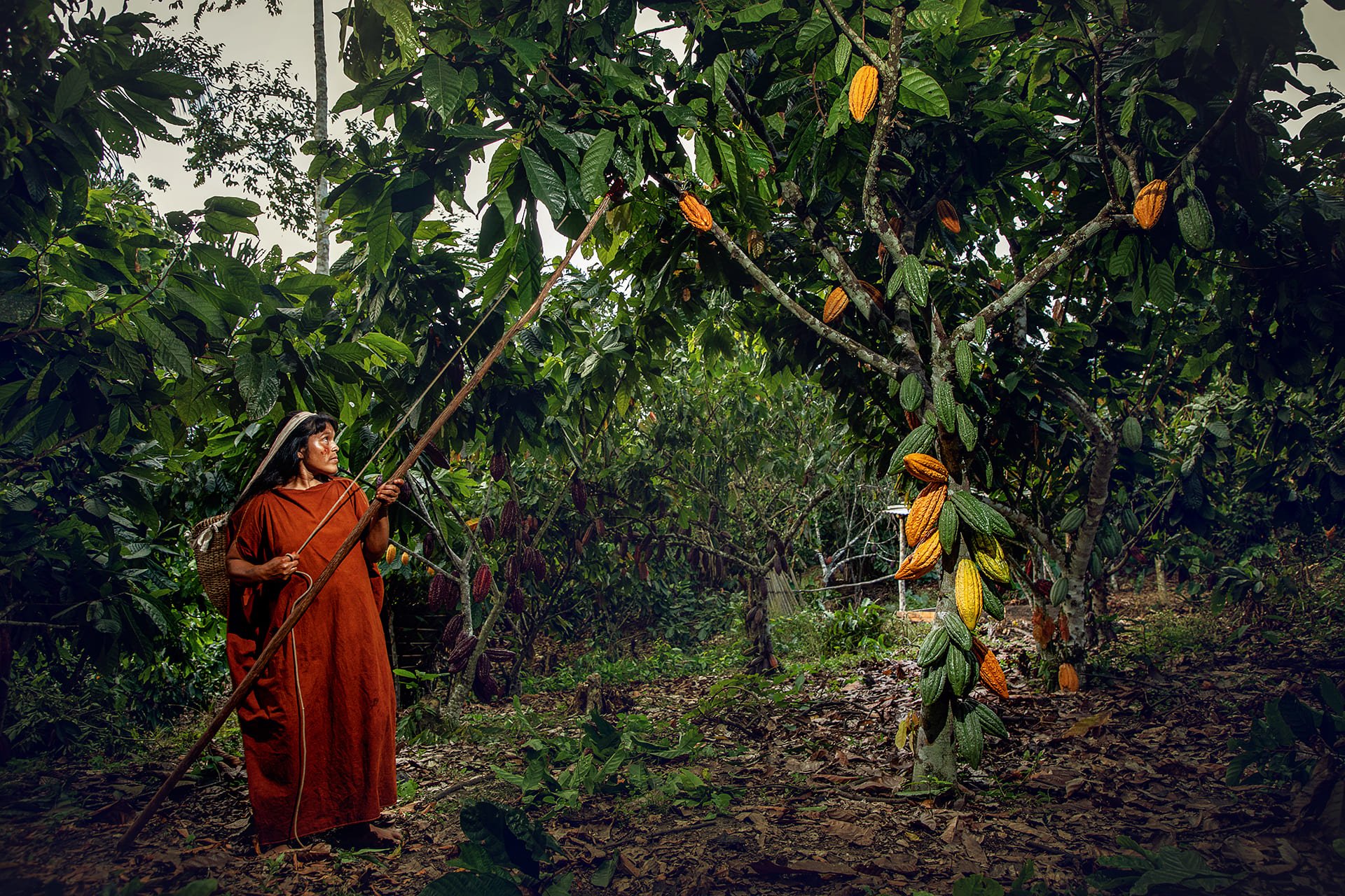 Kanuja Cacao Kanuja