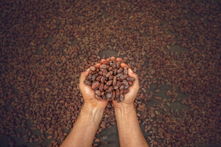 Granos de cacao