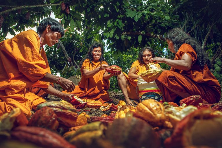 Quiebre de cacao