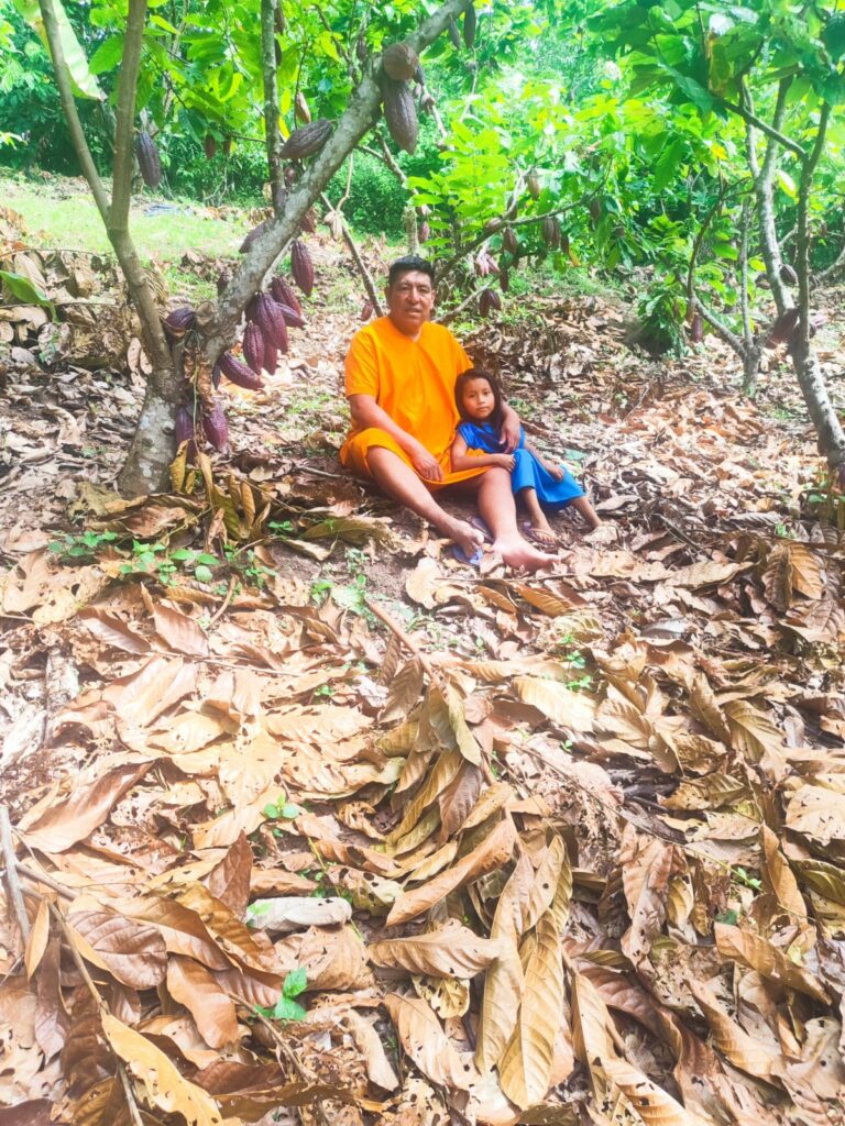 Retrato en el cultivo de cacao
