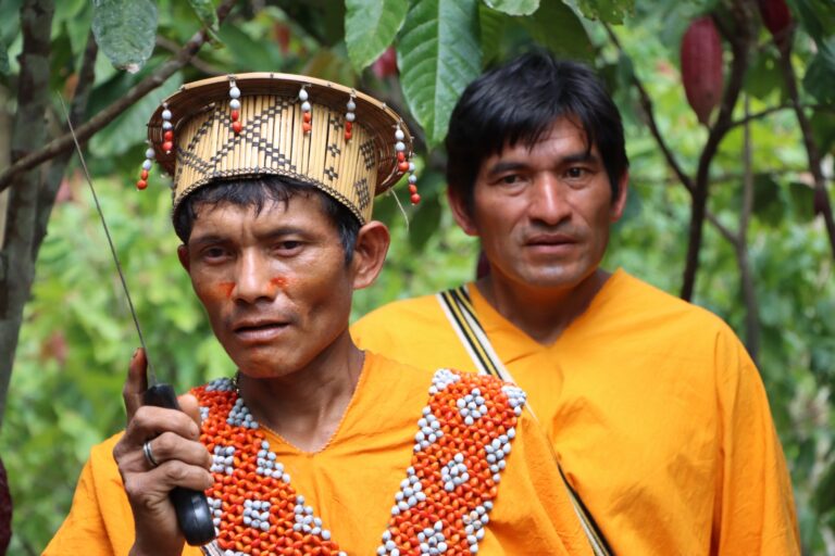 Retrato en el cultivo de cacao