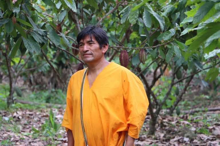 Retrato en el cultivo