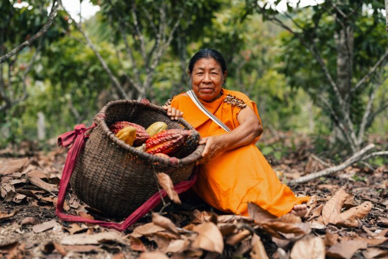 Cesta con mazorcas de cacao